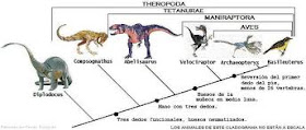 Era Paleozoica