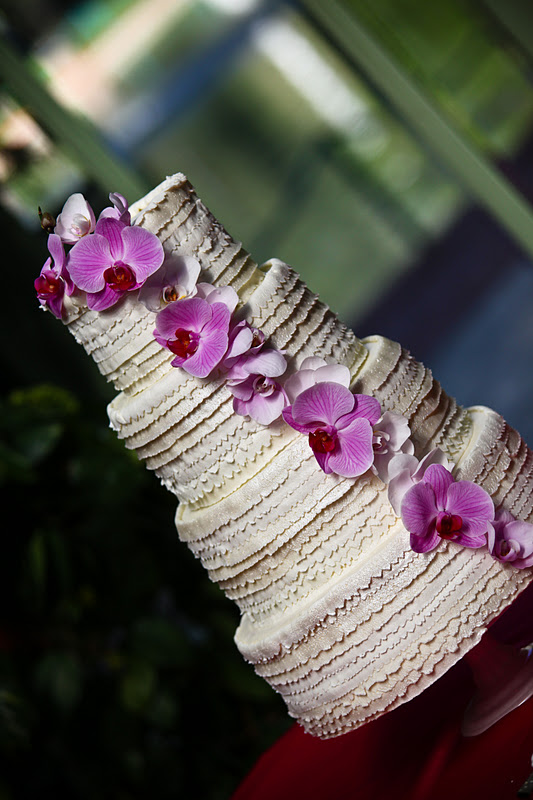 Sugar Kisses Cakes by Design Buttercream Ribbons