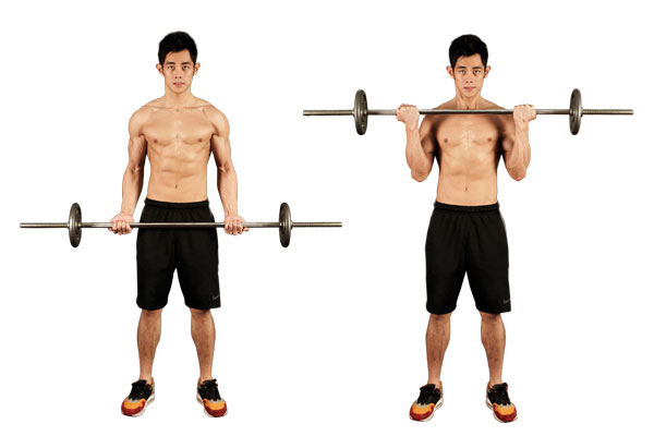 barbell for culrs and triceps barbell for culrs and triceps