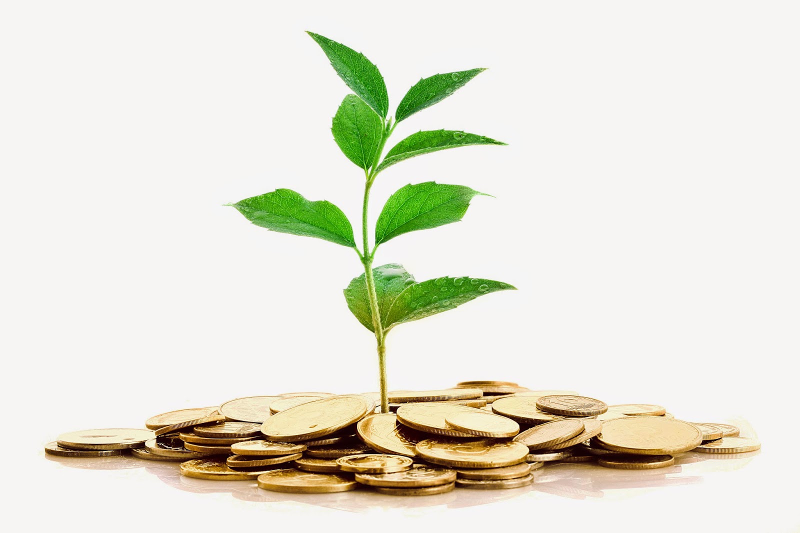 memilih investasi