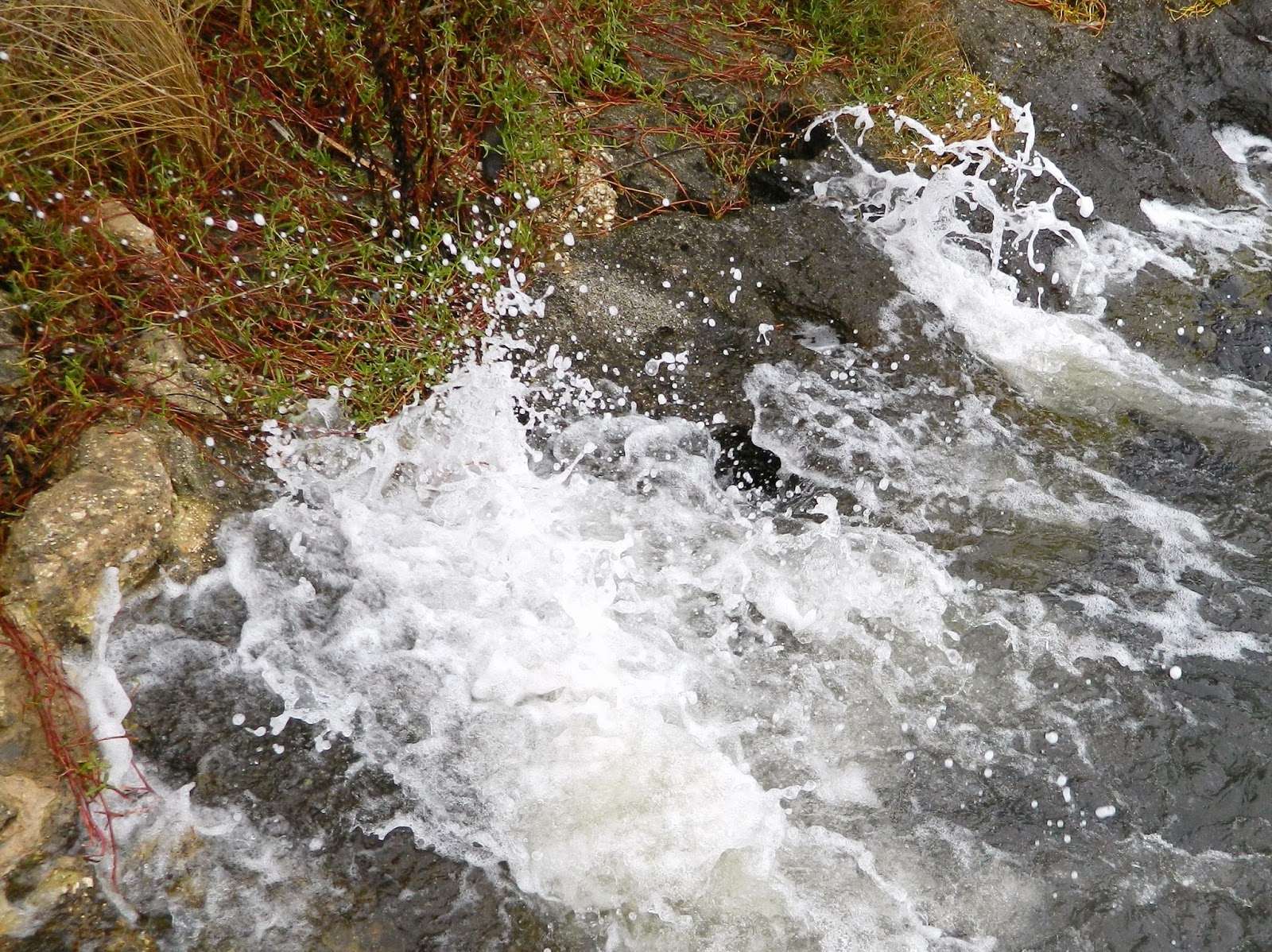 Lise's Log Cabin Life: River Dance