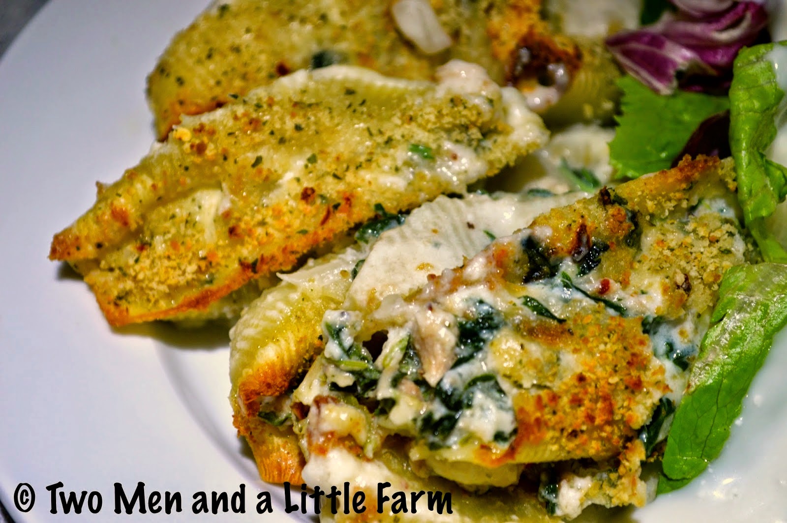 Two Men and a Little Farm TUNA CASSEROLE SHELLS RECIPE