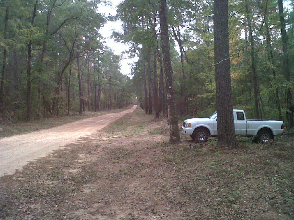NationalForestHunter Hunting the Sam Houston National Forest 1998