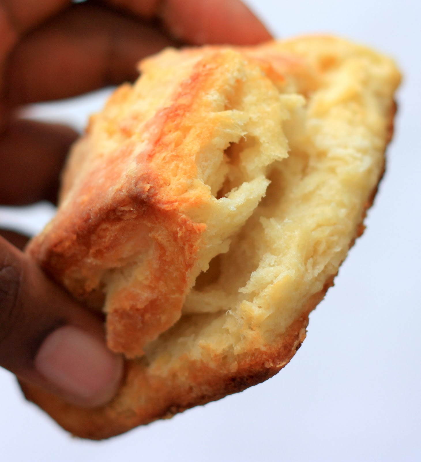 Mangio da Sola Southern Skim Milk/FatFreeYogurt Biscuits