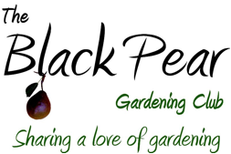 The Black Pear Gardening Club.