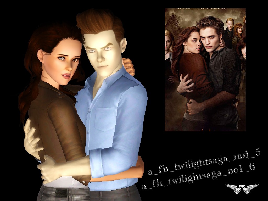Definition of Twilight by Merriam-Webster