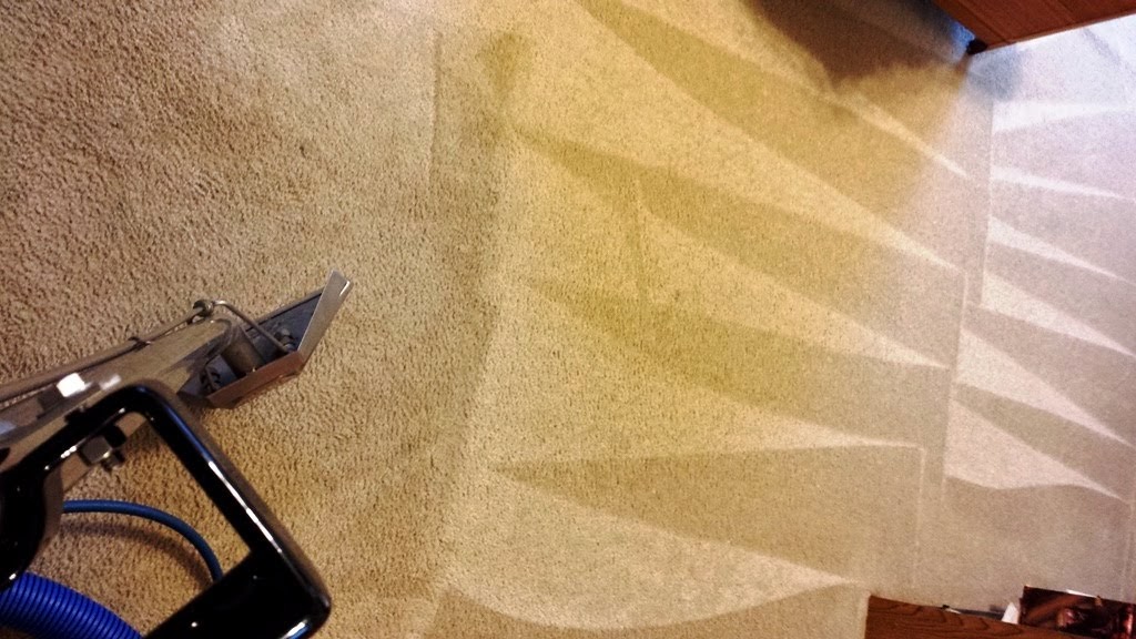 Barry Minkow Carpet Cleaning League City Tx City Information Center