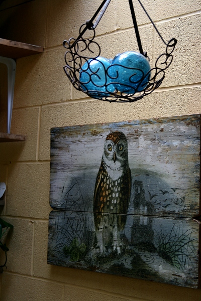 Gardening in Austin: Best of Inside Austin Garden Tour (1 of 2)