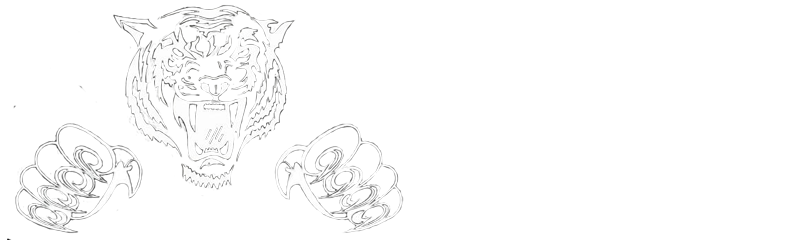 Ice Tiger Corp