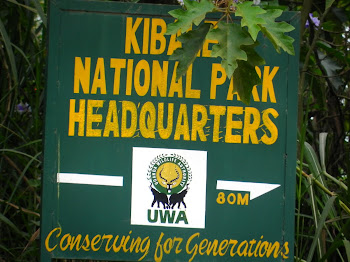 Kibale National Forest, Uganda