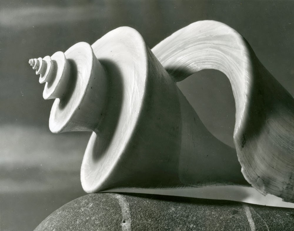 San Martin Arts Crafts... Lyonel Feininger Photography