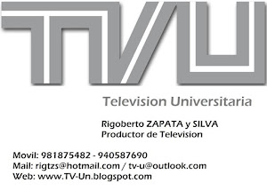TV U, Television Universitaria