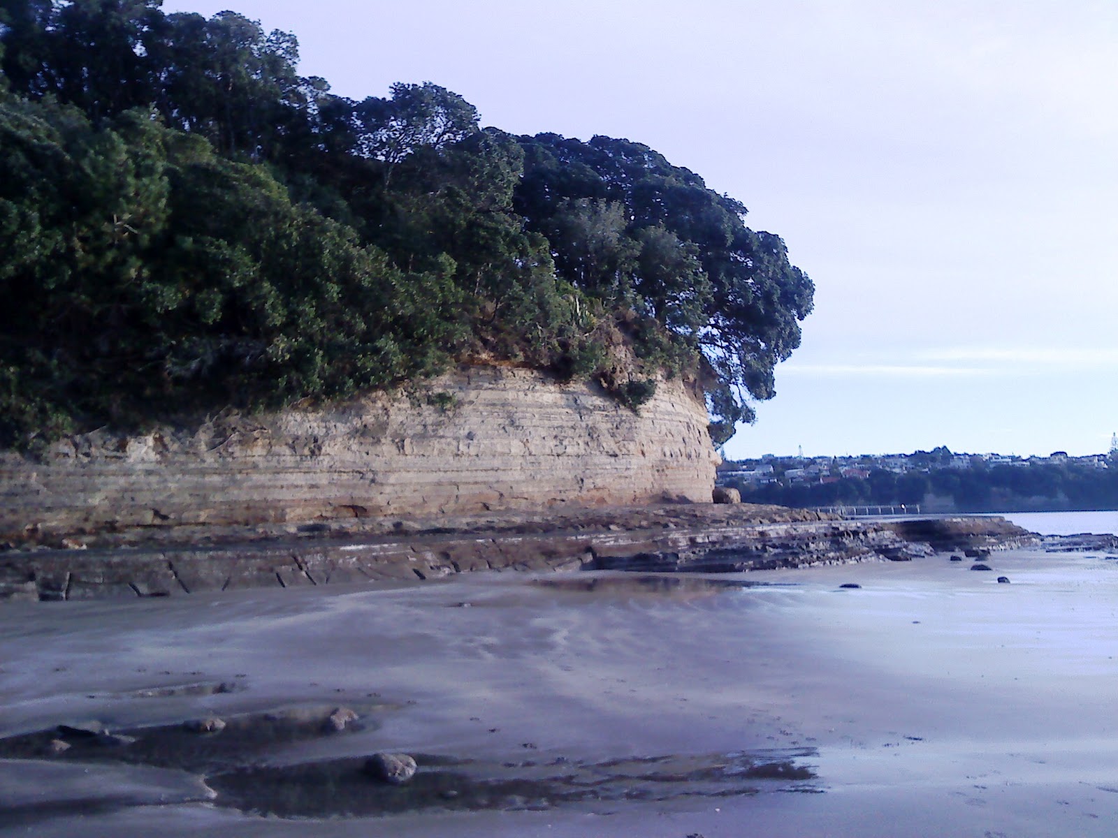Going Outdoors Browns Bay Mairangi Bay
