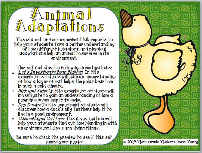 Third Grade Thinkers: Animal Adaptations: Engaging Investigations