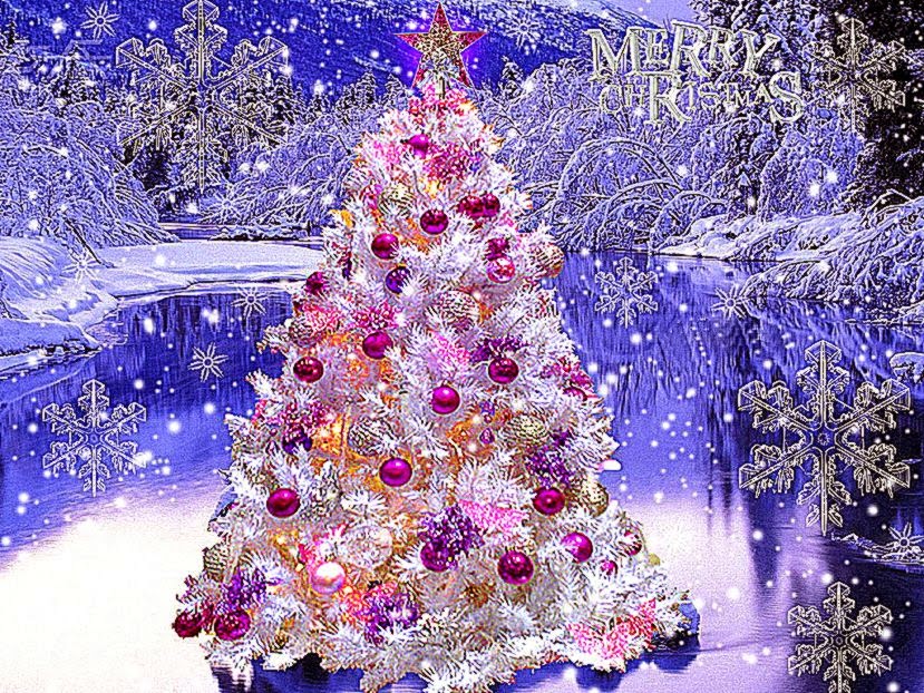 Decorations 25 Wonderful Christmas Trees Picture And Wallpaper Decorations 25 Wonderful Christmas Trees Picture And Wallpaper