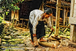 Suku Baduy