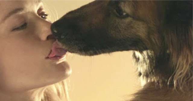 Latina Woman Severe Sex With A Dog In Naughty Scenes 3