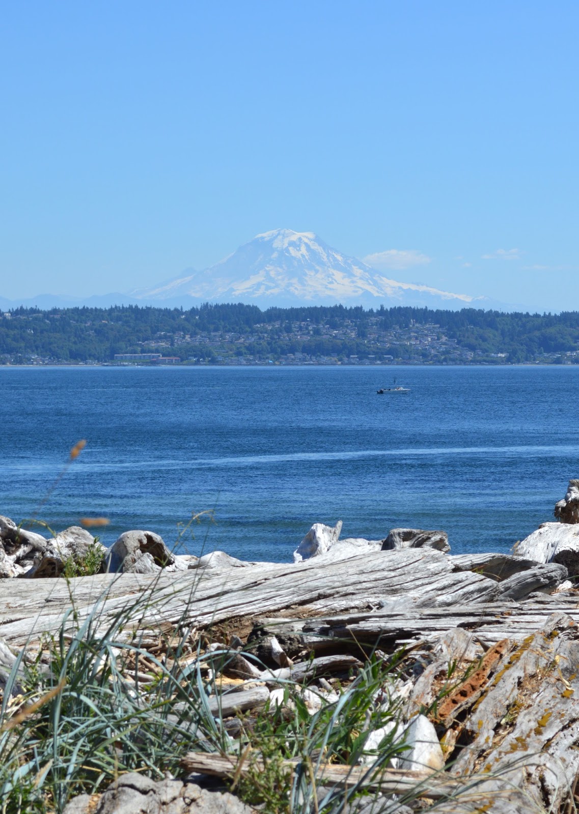 A Day Trip to Vashon Island