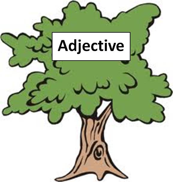 St. Clare's Class Blog October 2012