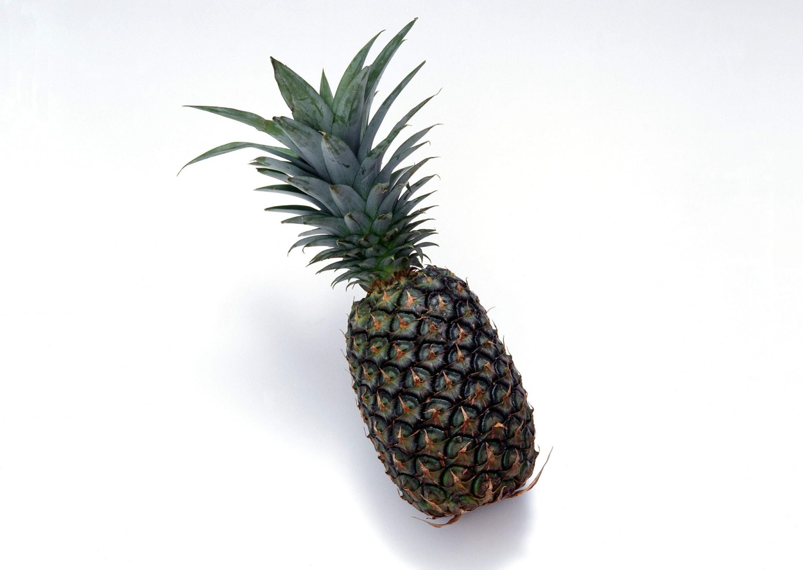 Produce Clerk The Produce Clerks Handbook by RICK CHONG