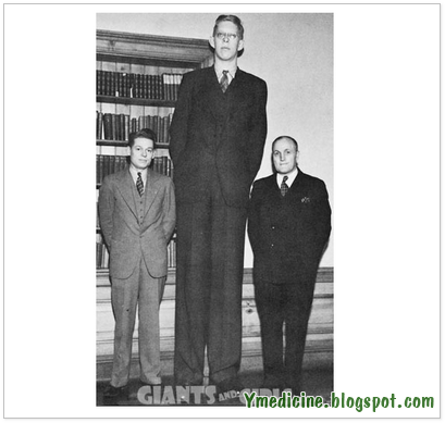How to Increase Height by Hanging? How to Increase Height by Hanging?