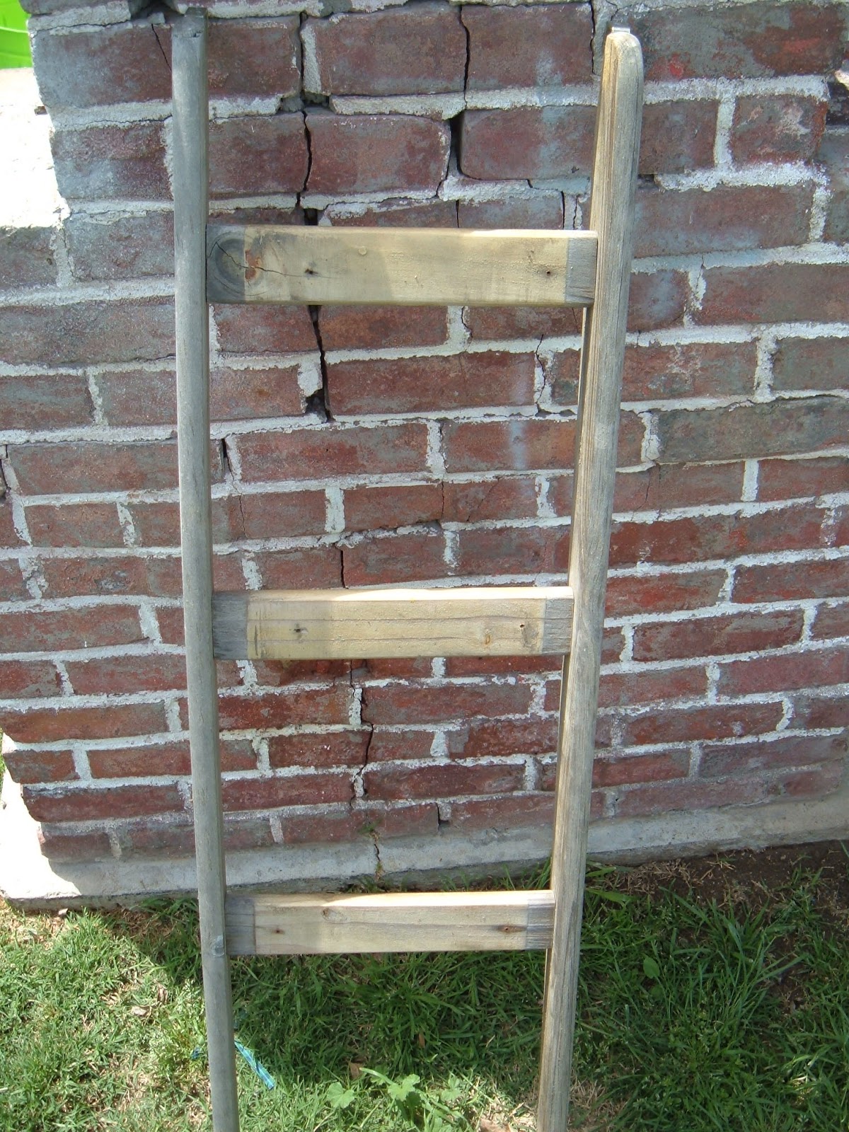 SPANKY LUVS VINTAGE repurposed ladder bookshelf vintage cook books and catfood ponderings