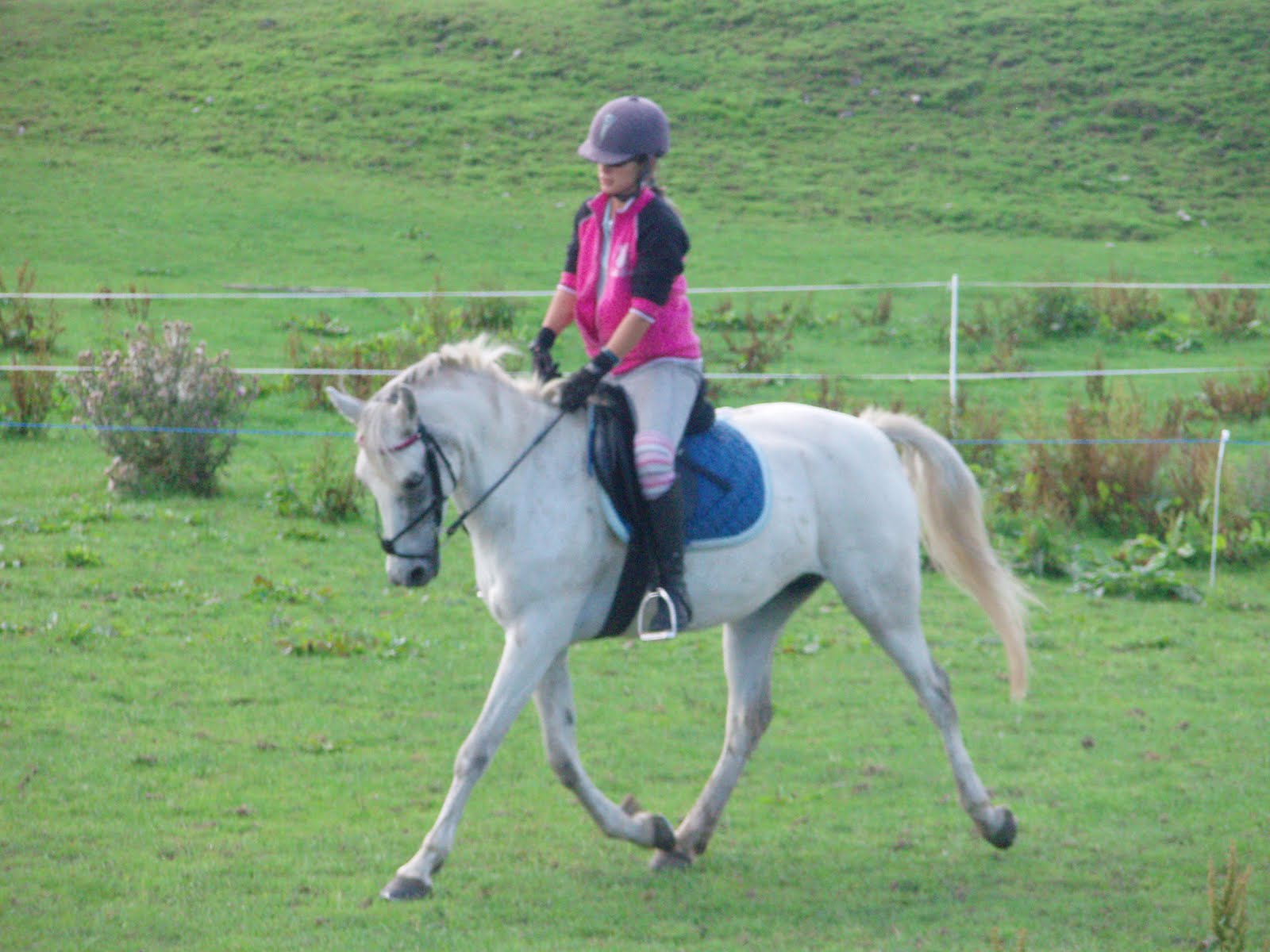 Claire Margreth Professional Horse Rider and Trainer Cheshire