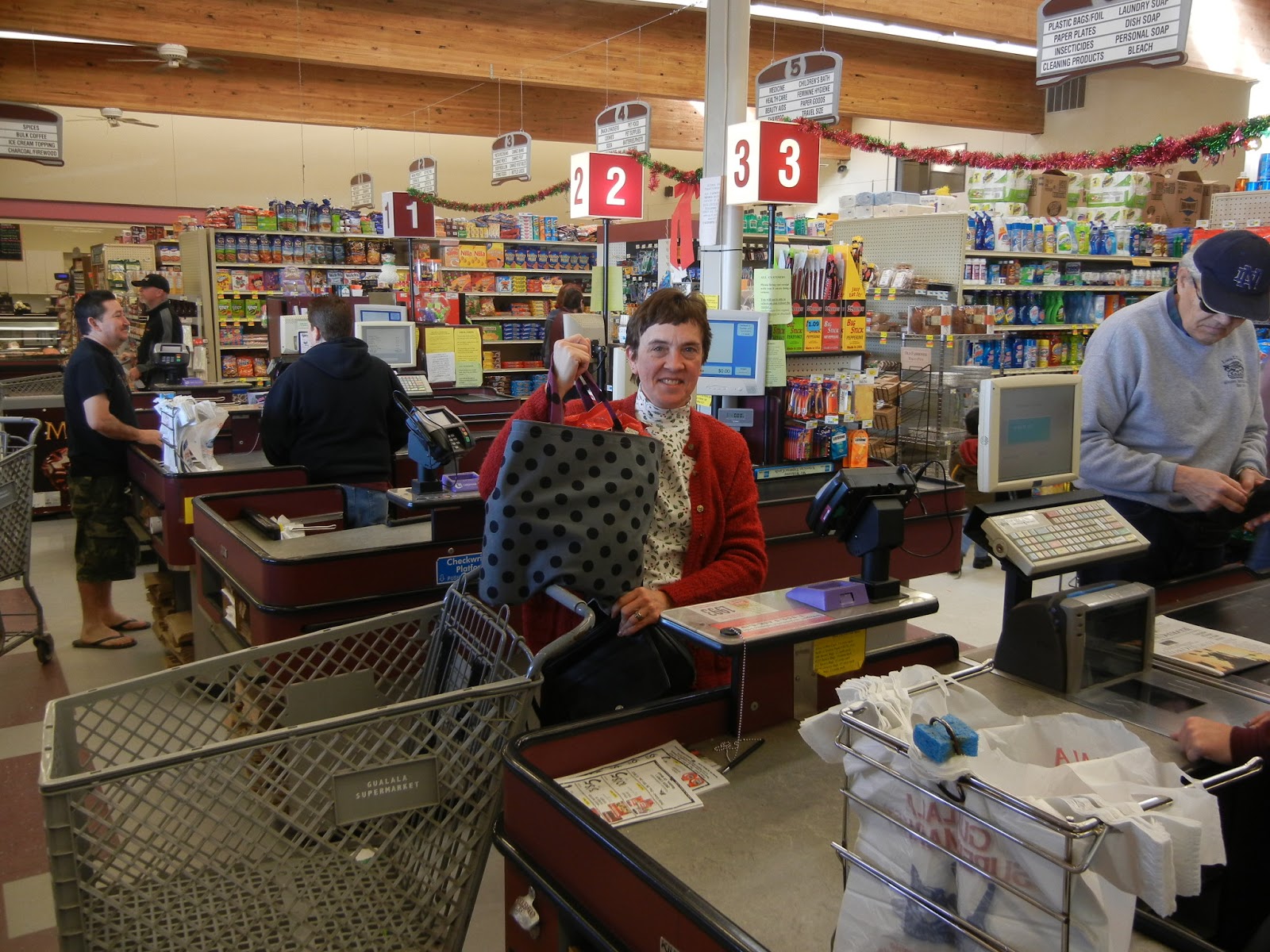 Green Bag Lady California Bag!