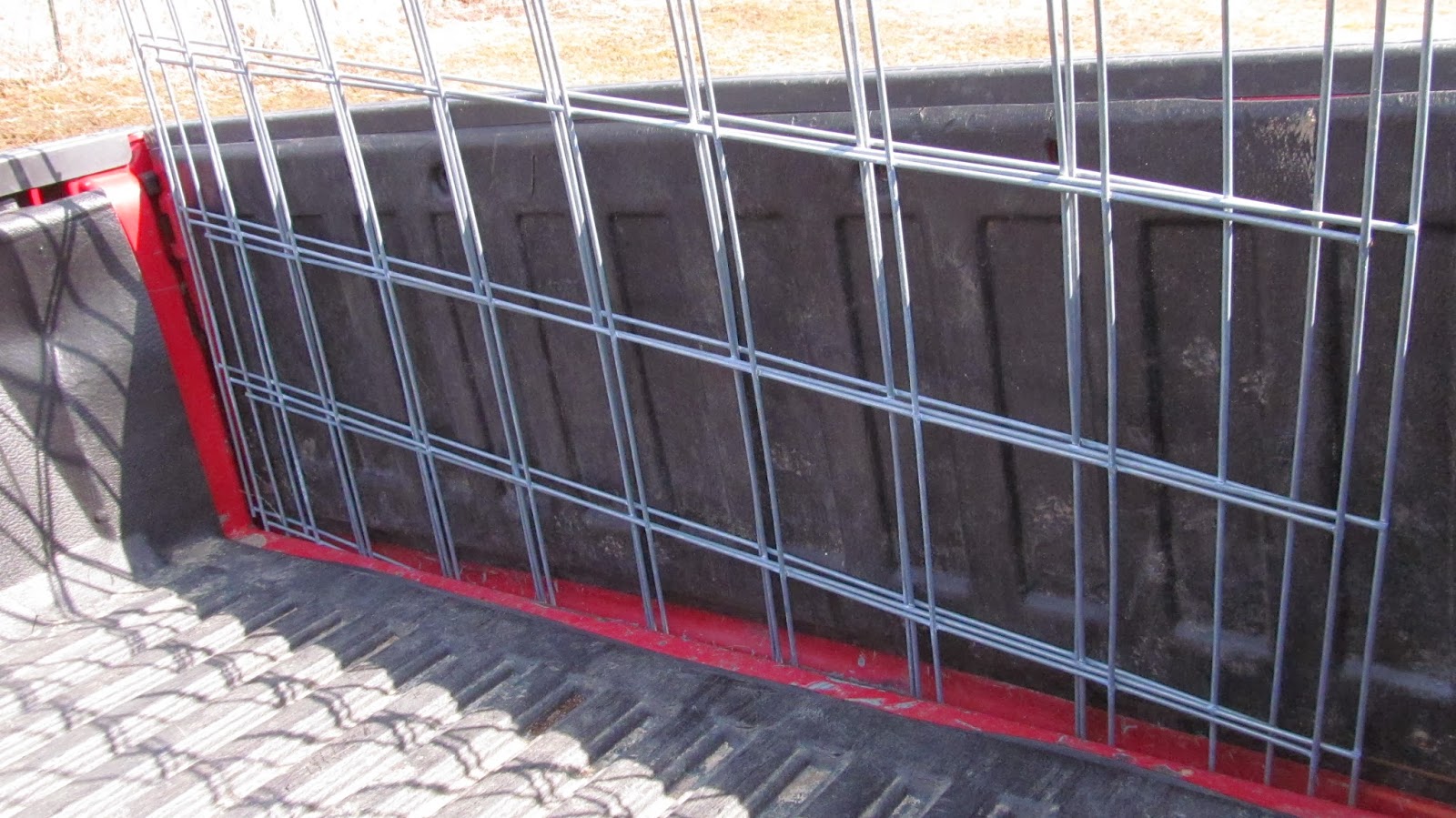 Ohiofarmgirl's Adventures In The Good Land How to transport 16' cattle