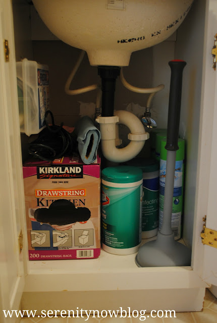 Rubbermaid Clean and Dry Plunger Serenity Now blog, Giveaway