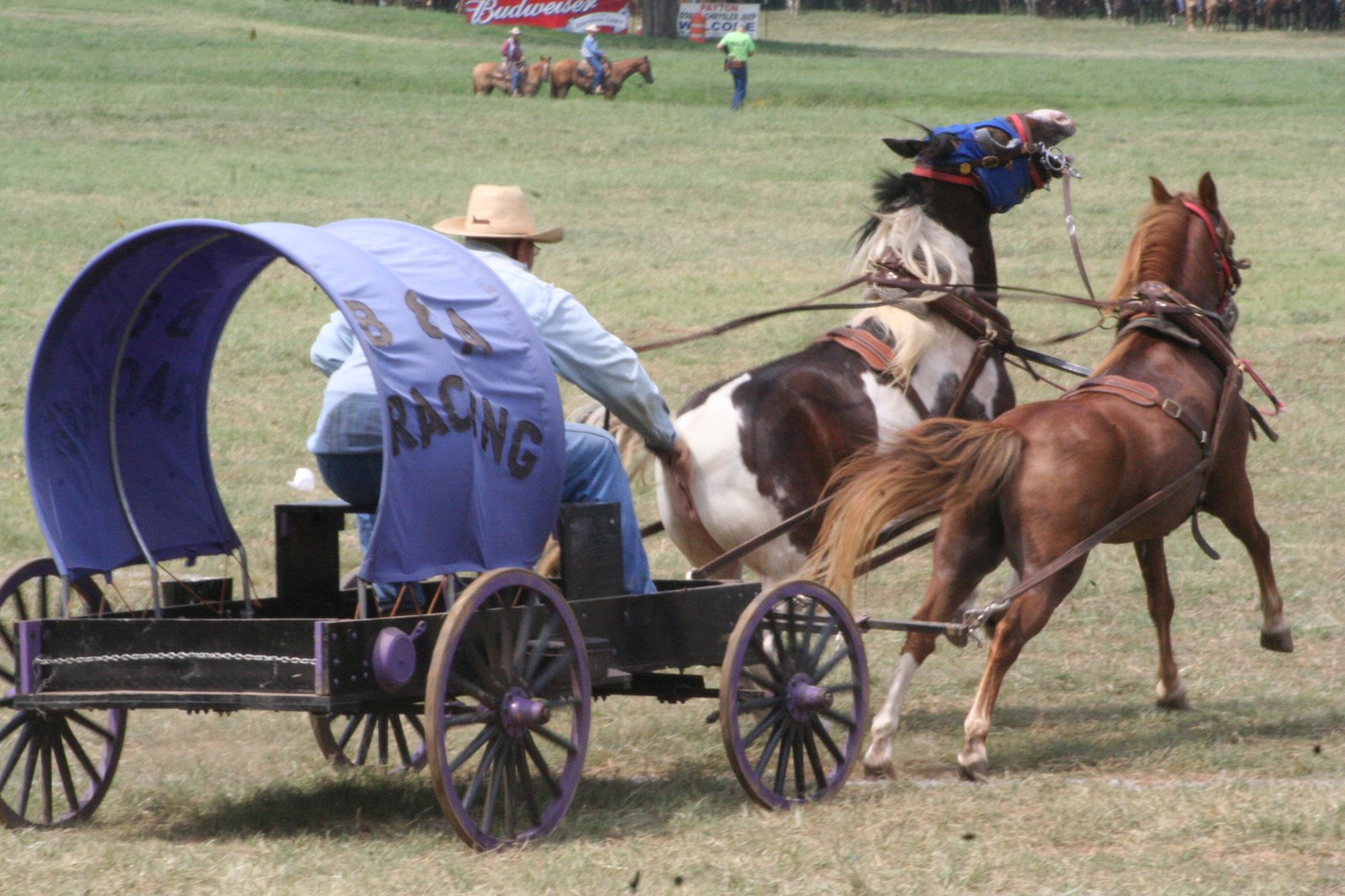 PairADice Mules National Champion Chuckwagon Races Oklahoma Land Rush