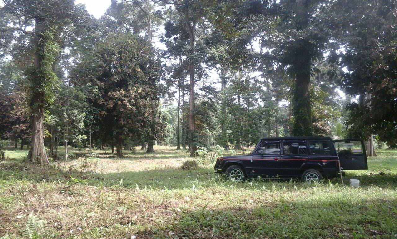 Tanah Untuk Di Jual - A (Dusun Durian)