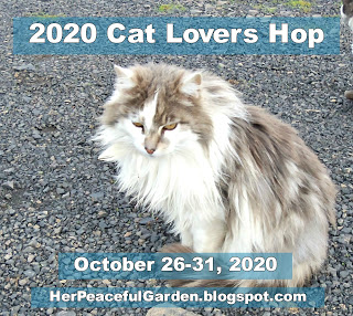 2020 Cat Lovers Hop