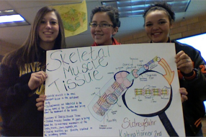 Labeled Muscle Tissue