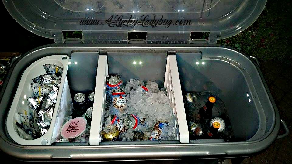 A Lucky Ladybug Party Hard w/ Igloo® Party Bar™ Review