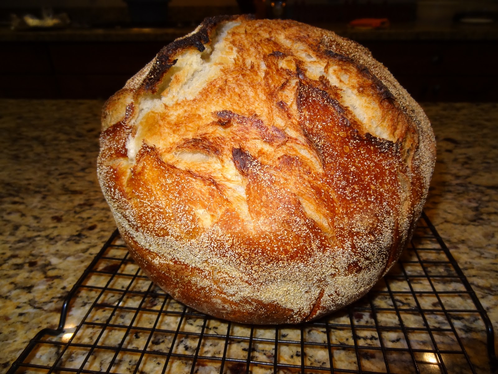 g*rated: No Knead Dutch Oven Bread