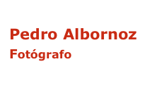 Pedro Albornoz