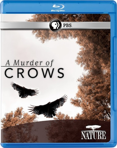 CROWS-HD