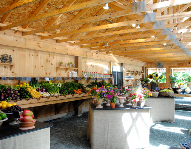 The Little Dog Blog SaintGaudens + Edgewater Farm