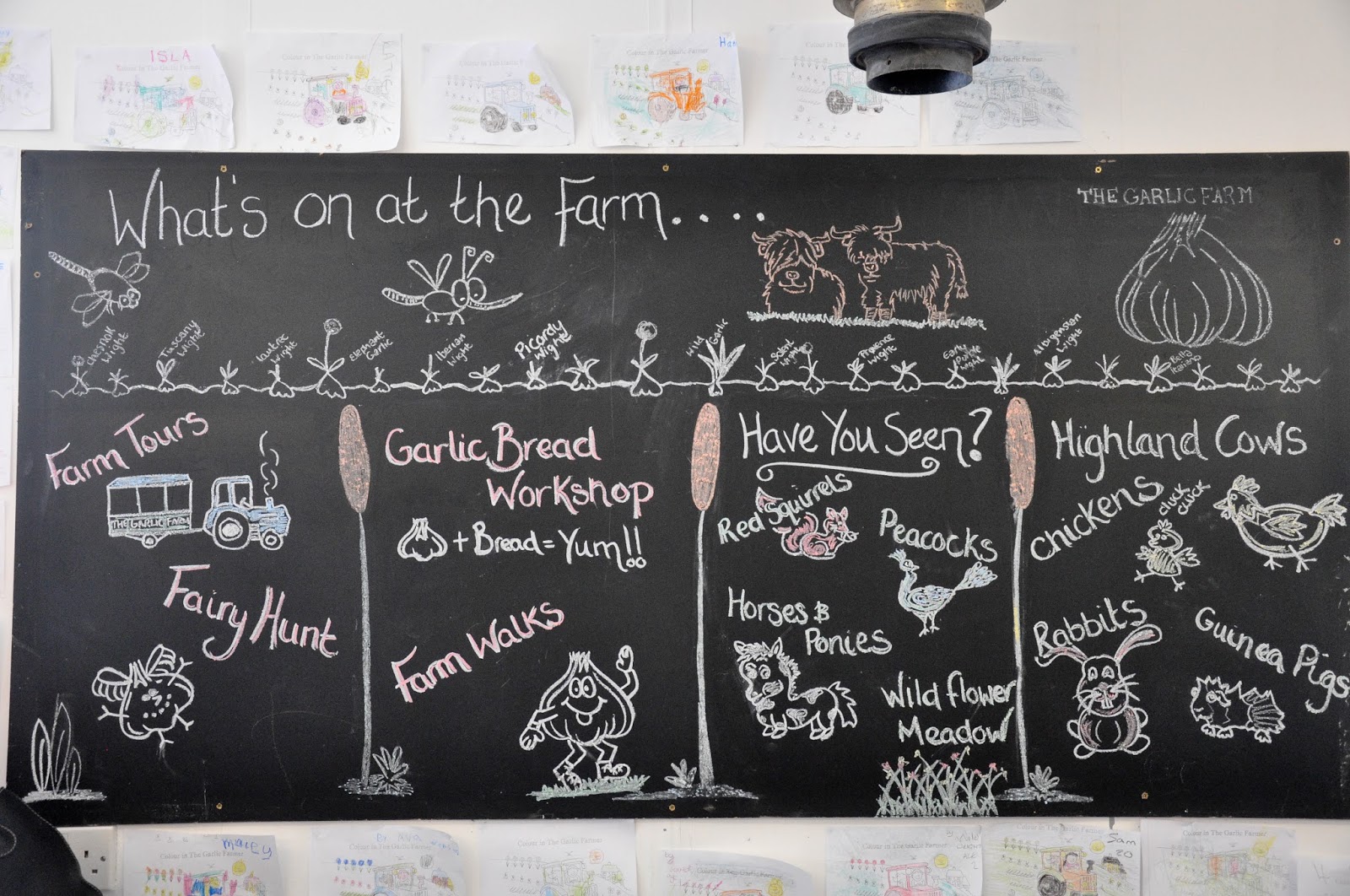 What's On At The Farm, The Garlic Farm, Isle of Wight, UK What's On At The Farm, The Garlic Farm, Isle of Wight, UK