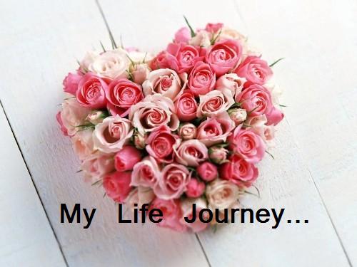 My Life Journey