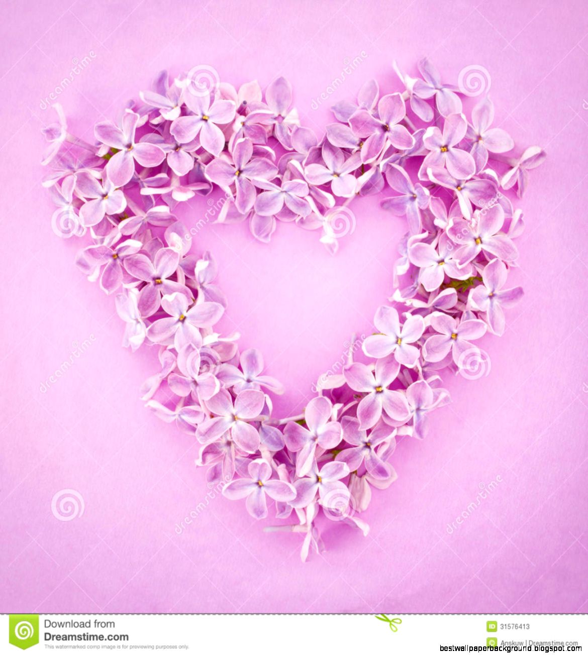 Purple Lilac Flower Heart Stock Photos Image 31576413 Purple Lilac Flower Heart Stock Photos Image 31576413