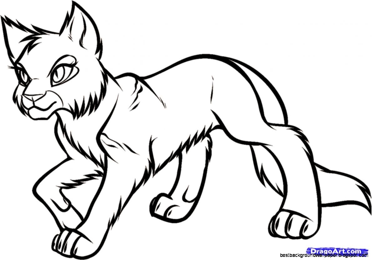 Warrior Cats Fighting Coloring Pages Coloring Online Warrior Cats Fighting Coloring Pages Coloring Online