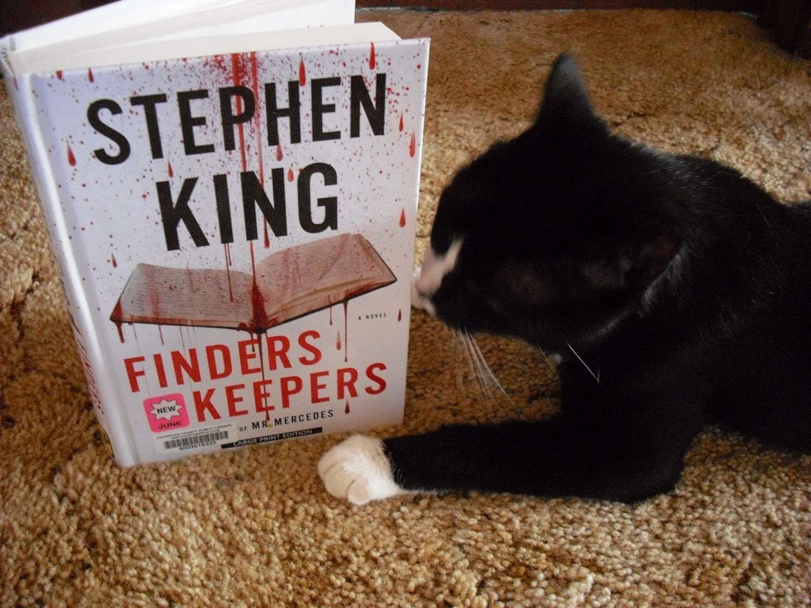 Grab A Book From Our Stack "Finders Keepers" by Stephen King is a