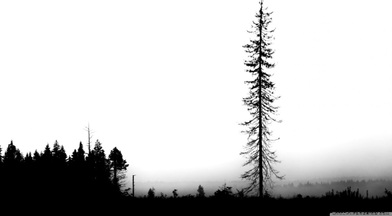 Lonely HD desktop wallpaper Widescreen High Definition Lonely HD desktop wallpaper Widescreen High Definition