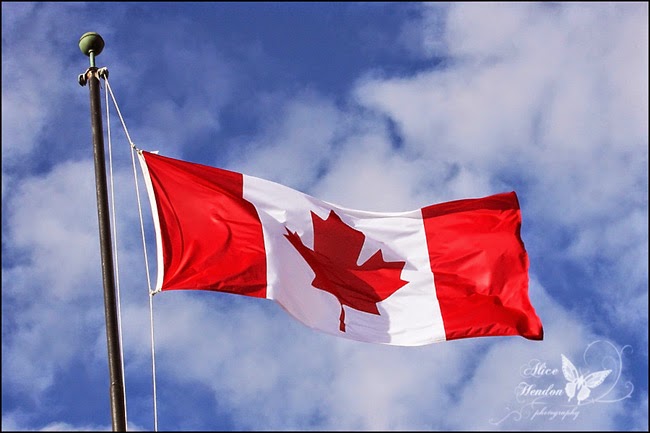 Alice Hendon, The Creator's Leaf, www.thecreatorsleaf.com , #Canada #canadianflag