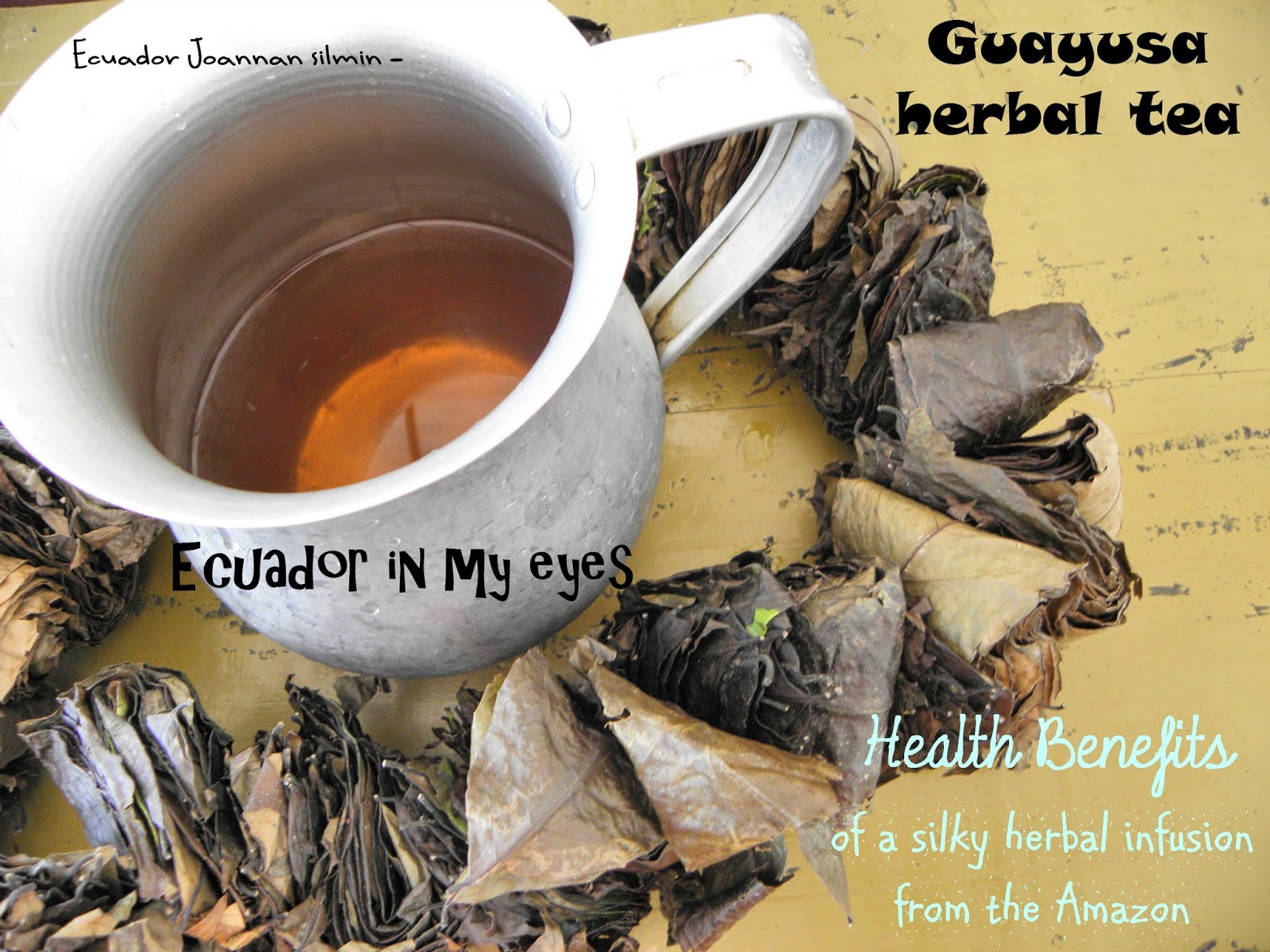 Ecuador Joannan silmin Ecuador in my eyes Guayusa herbal tea