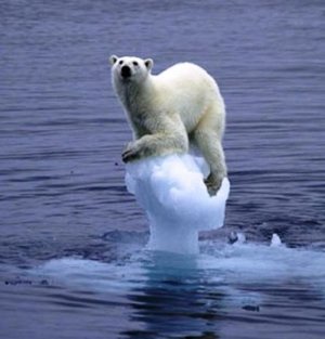 http://3.bp.blogspot.com/-8gVG33LIxT8/Tj_gi1ZMguI/AAAAAAAABfQ/CSFX6Uqy5uo/s1600/melting-ice-polar-bear.jpg