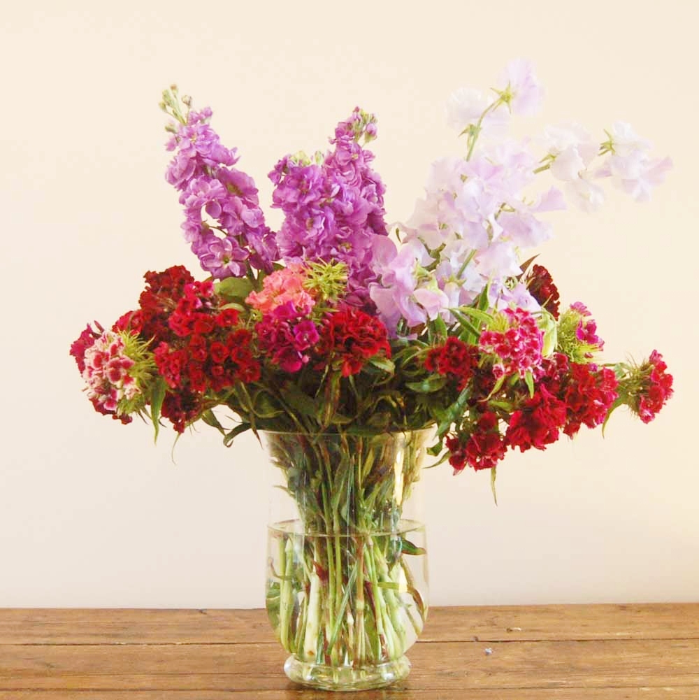 Flowers for the Weekend grace your home with beautiful flowers every