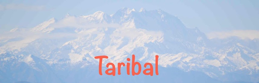 Taribal 
